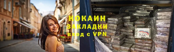 прущие грибы Армянск