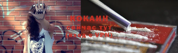 прущие грибы Армянск