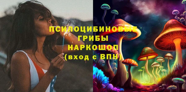 прущие грибы Армянск