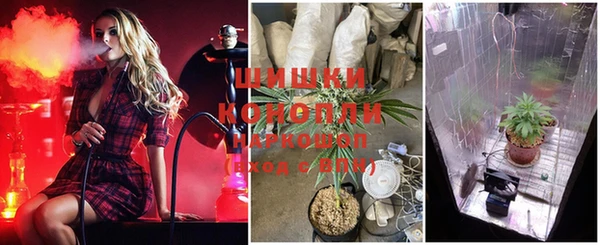 гидропоника Арсеньев