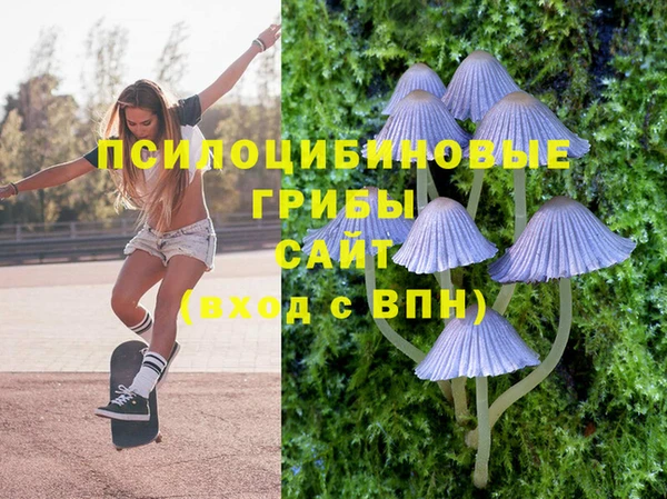 Альфа ПВП Аркадак