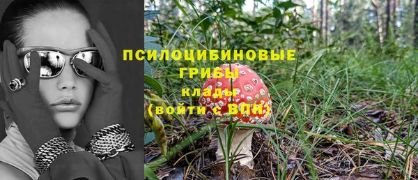 гидропоника Арсеньев