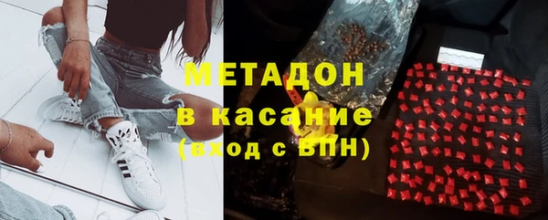 прущие грибы Армянск