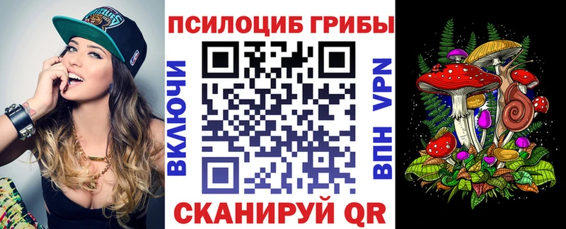 хочу   Россошь  Псилоцибиновые грибы MAGIC MUSHROOMS 